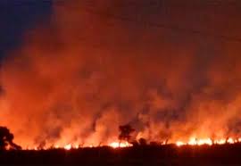 Resultado de imagem para fotos recentes de incendios em altamira