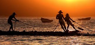 Resultado de imagem para fotos de pescadores na bahia