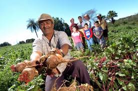 Resultado de imagem para fotos da agricultura familiar na bahia