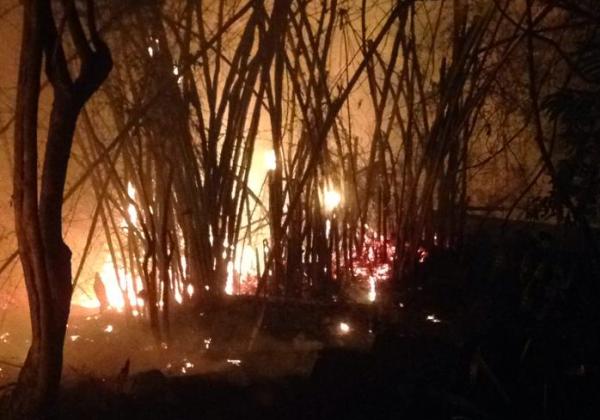 Foto: Divulgação/Ilê Axé Opô Afonjá