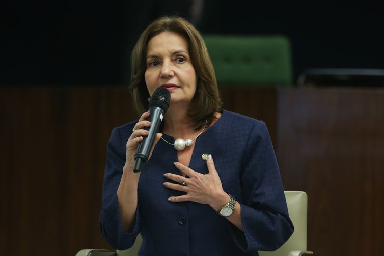 BrasÃlia - A delegada Martha Rocha debate os dez anos da Lei Maria da Penha (José Cruz/Agência Brasil)