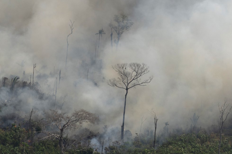 â??Nossa casa está pegando fogo. Literalmente A floresta amazônica - os pulmões que produzem 20% do oxigênio do nosso planeta - está em chamas. Ã? uma crise internacional â?, proclamou quinta-feira o presidente francês Emmanuel Macron em sua conta no Twitter. Alguns especialistas consultados são mais cautelosos. Na foto, vista do incêndio perto de Porto Velho, na sexta-feira, 23 de agosto.