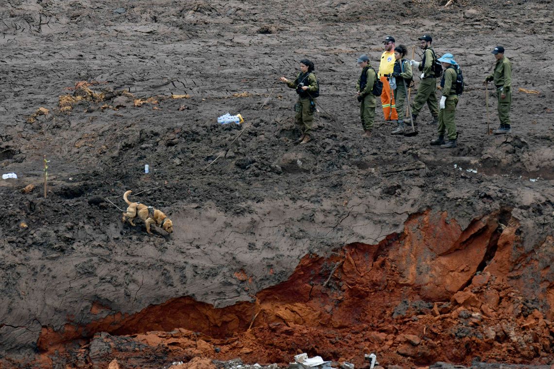Militares israelenses e equipes de resgate brasileiras durante buscas por vÃtimas em Brumadinho, onde uma barragem da mineradora Vale se rompeu.