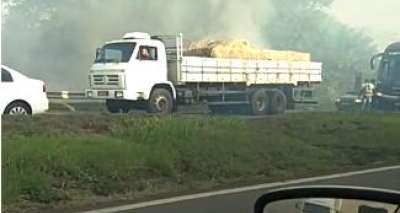 Incêndio atinge vegetação na BR-324 e complica trânsito na região; veja vídeo