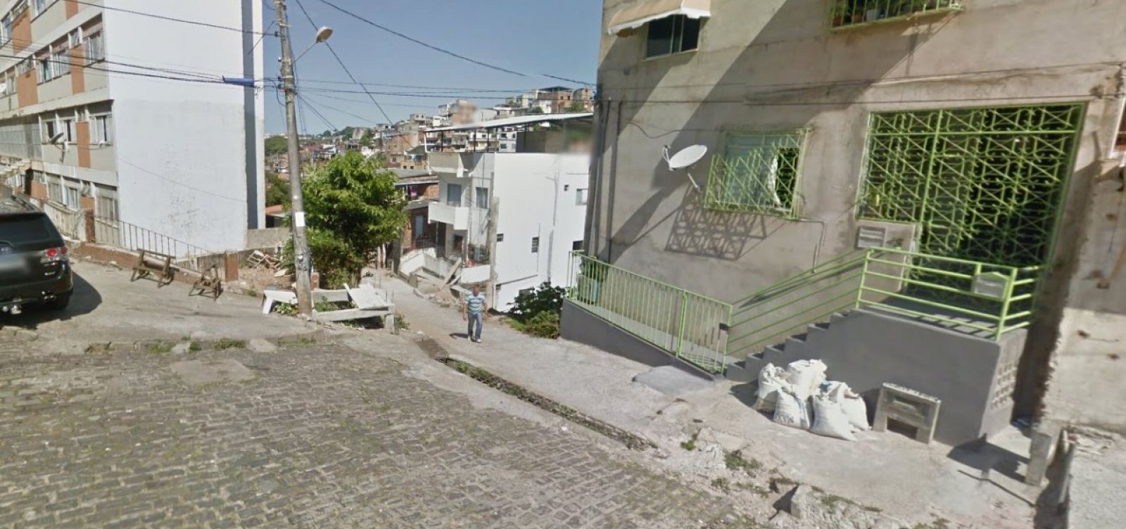 [Idosa morre apÃ³s sofrer ataque de abelhas em casa]