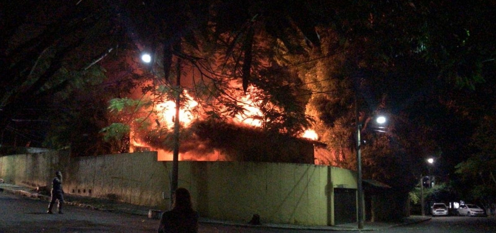 [IncÃªndio atinge Ã¡rea no Horto Florestal; veja vÃ­deo]