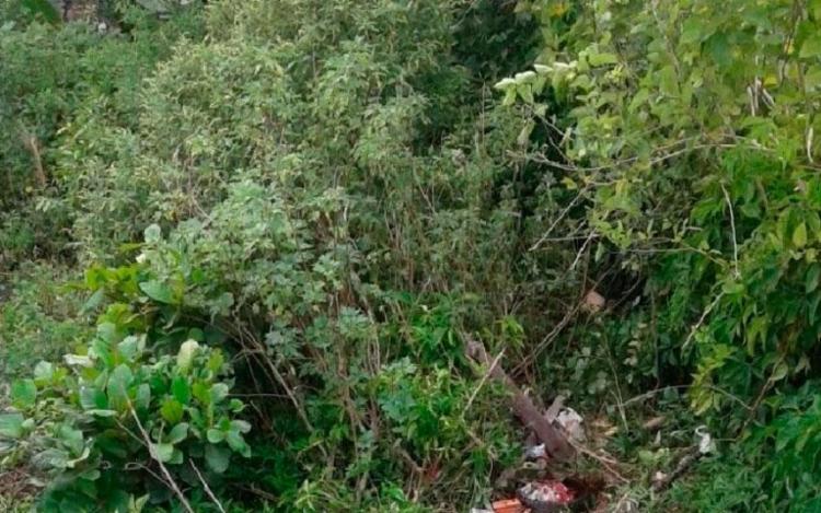 Corpo do homem foi encontrado em um matagal, porÃ©m sua cabeÃ§a nÃ£o foi localizada - Foto: ReproduÃ§Ã£o | Site Radar 64