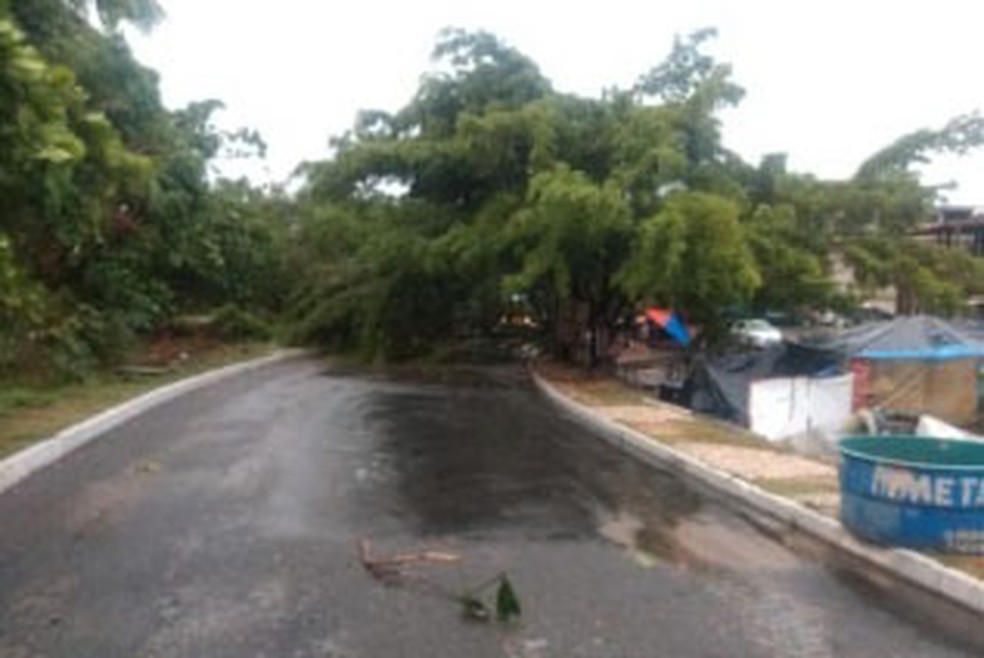 Caso ocorreu na manhã desta quinta-feira (23). Não há registro de feridos.  — Foto: Redes Sociais