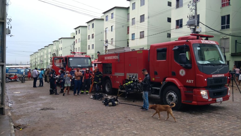 Bombeiros aturam no combate as chamas na madruga de terÃ§a-feira (4) â?? Foto: DivulgaÃ§Ã£o 