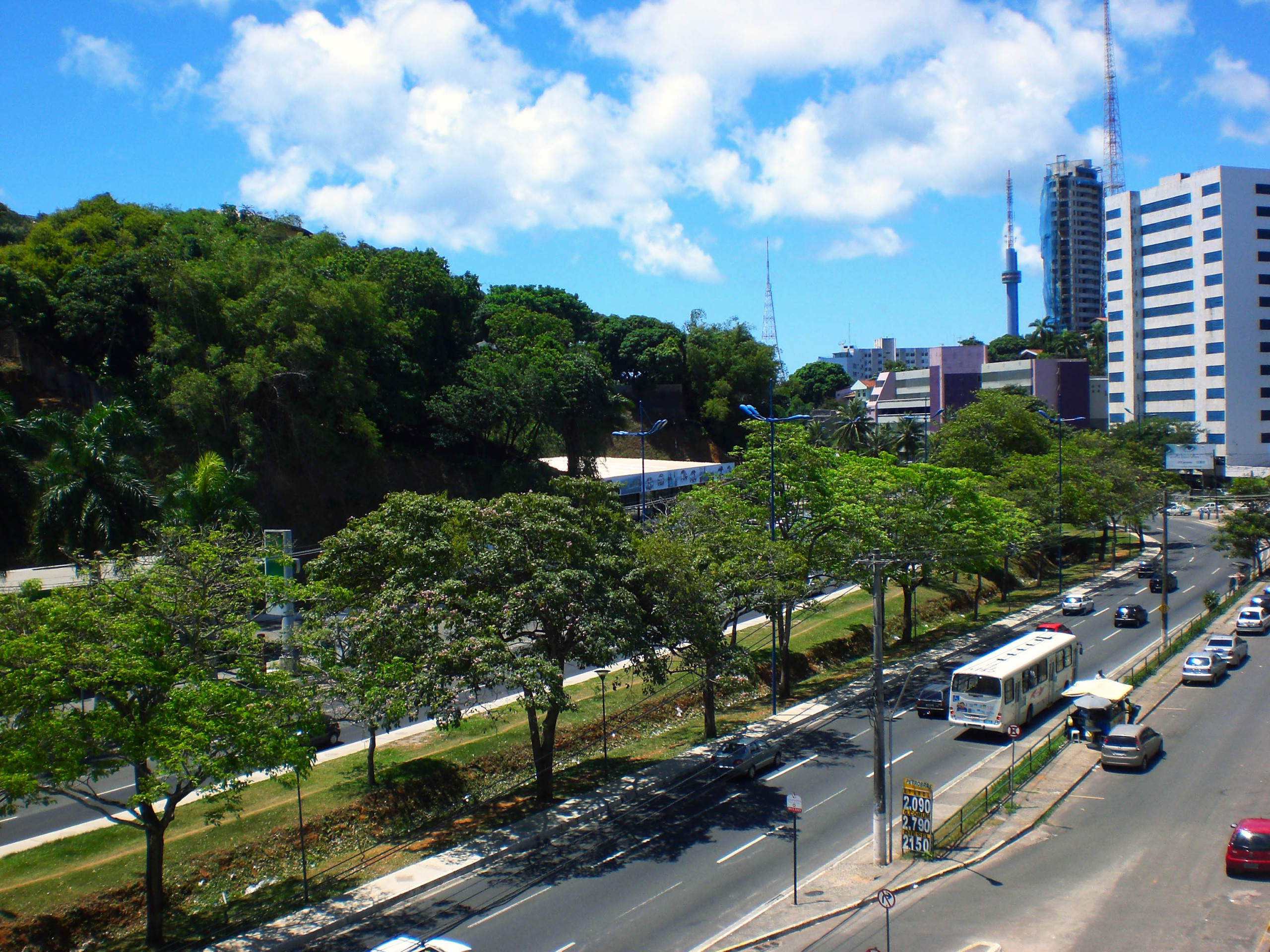 Resultado de imagem para garibaldi salvador