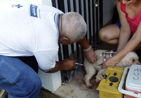 Resultado de imagem para Campanha de vacinaÃ§Ã£o animal Ã© iniciada em 104 postos de Salvador