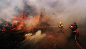 Resultado de imagem para IncÃªndio florestal atinge Portugal e fere 32 pessoas