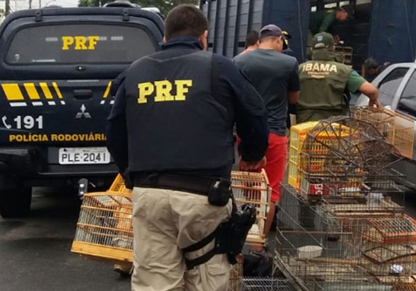 Foto: Ascom/ PRF