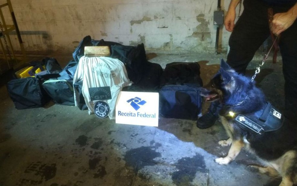 Receita Federal apreende 218,5 kg de cocaína, em Salvador (Foto: Divulgação/Receita Federal)