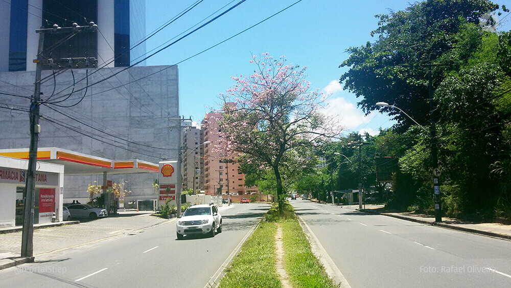 Resultado de imagem para bairro stiep