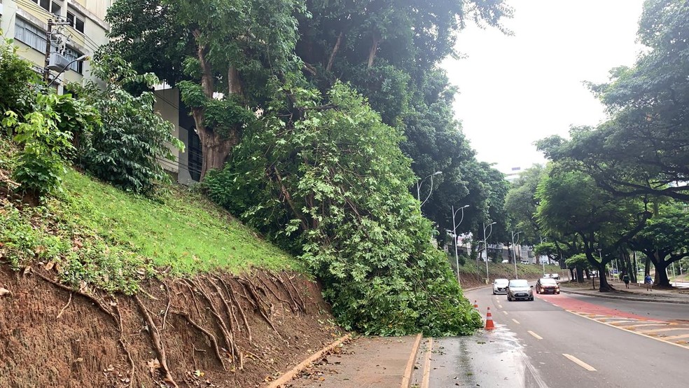 Apesar do bloqueio da faixa, por volta de 8h, o trÃ¢nsito estava moderado na regiÃ£o.  â?? Foto: Victor Silveira / TV Bahia