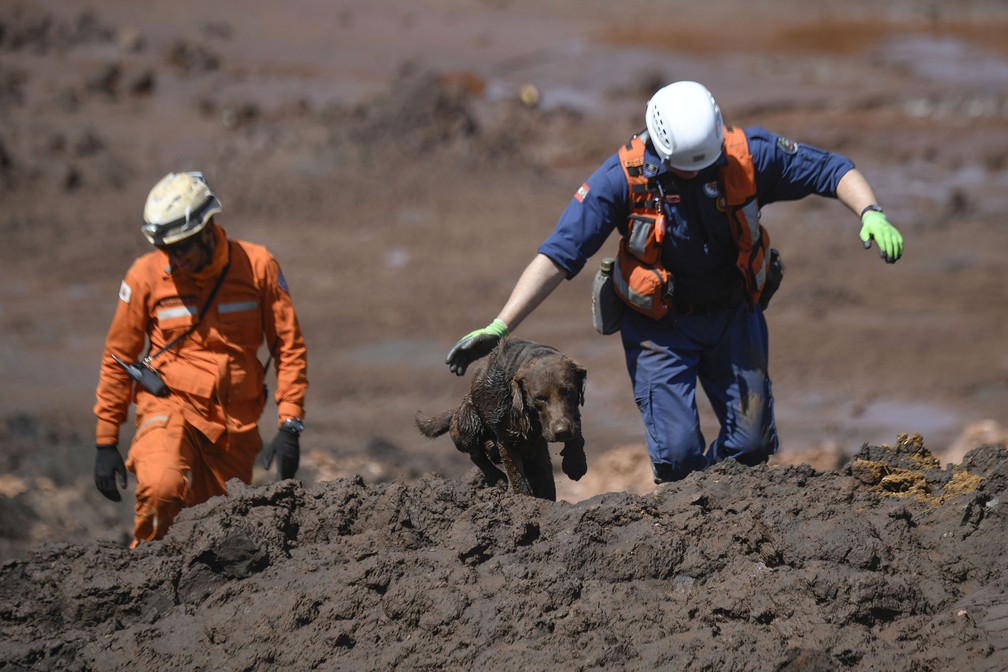 Cão farejador é usado por bombeiros na busca por vÃtimas da lama da barragem estourada em Brumadinho â?? Foto: Mauro Pimentel/AFP