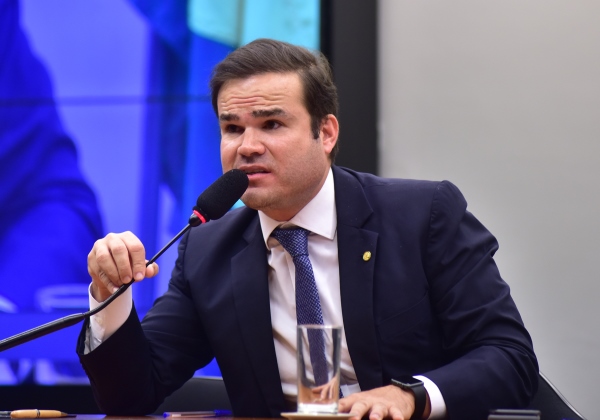 Resultado de imagem para fotos de caca leão