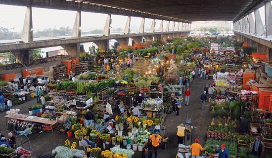 Serviços de requalificação são iniciados na Ceasa de Simões Filho ...