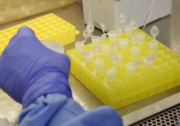 Foto: /Josué Damacena IOC/Fiocruz