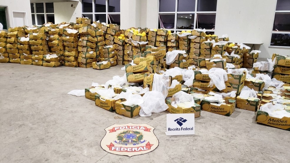 Em duas apreensões, as primeiras e únicas feitas no Porto de Natal, a PF encontrou 3,3 toneladas de cocaÃna seriam levadas para a Europa em navios. Droga estava escondida em meio a frutas, dentro de contêineres â?? Foto: PF-RN/Divulgação