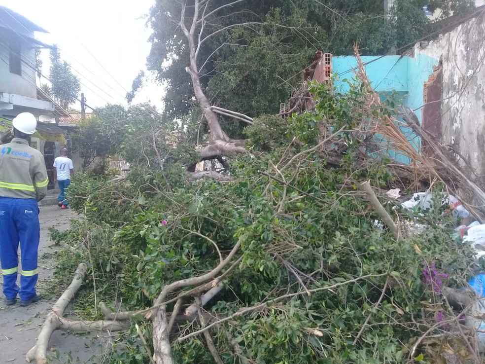 Conforme Transalvador, o caso ocorreu na Rua da ItÃ¡lia, na madrugada desta sexta-feira (19). Por volta das 8h, a via continuava parcialmente bloqueada. NÃ£o hÃ¡ informaÃ§Ãµes sobre feridos.  â?? Foto: Cid Vaz / TV Bahia