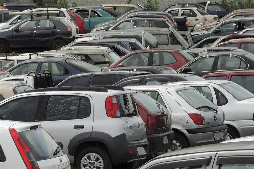 LeilÃ£o serÃ¡ realizado na terÃ§a-feira (20) â?? Foto: Valdecir Galor/SMCS