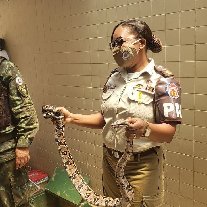 Imagens desta quarta-feira (30)