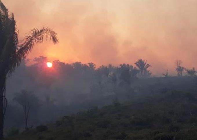 Resultado de imagem para Incêndios já destruÃram ao menos 61 mil hectares no Paraguai