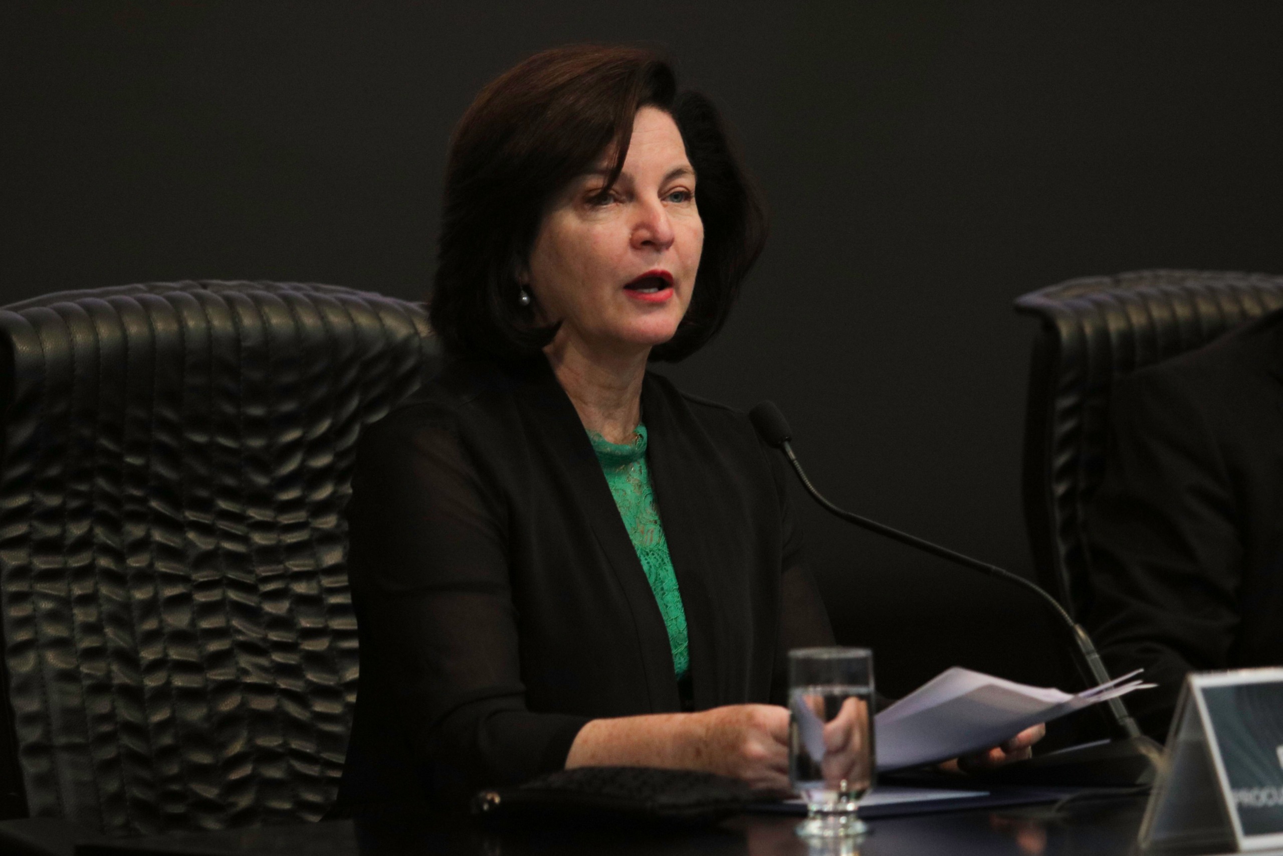 Resultado de imagem para Raquel Dodge indica novo procurador na Zelotes