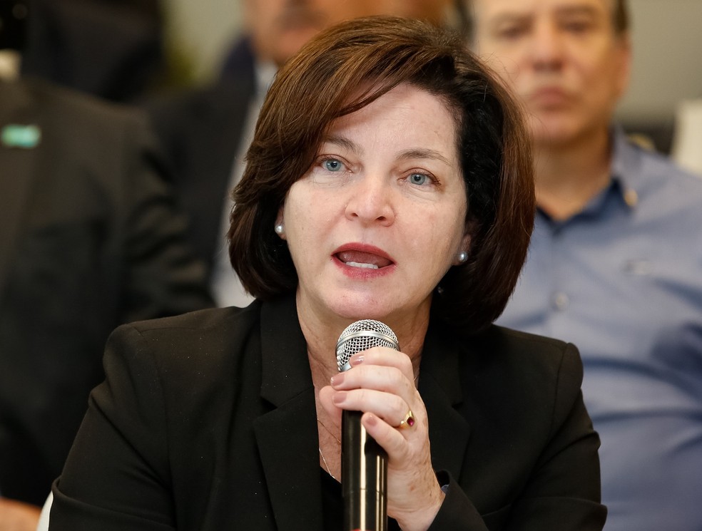 A procuradora-geral da República, Raquel Dodge â?? Foto: Isac Nóbrega/Presidência da República