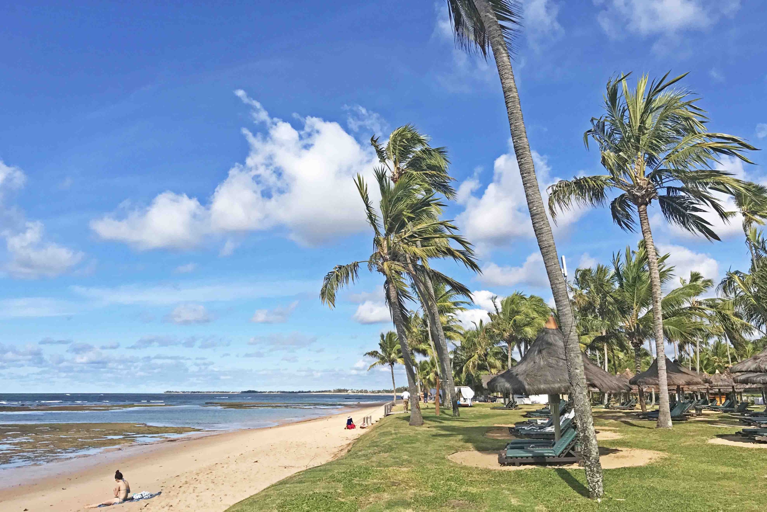 Dicas da Praia do Forte - Bahia - O melhor do Nordeste