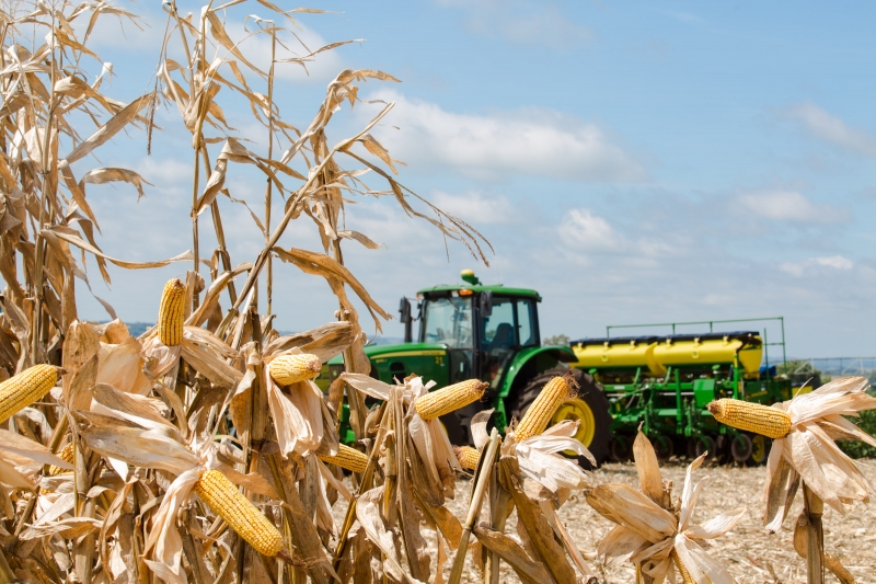 Resultado de imagem para Governo libera R$ 12,5 bilhões para financiar safra agrícola de 2018 e 2019