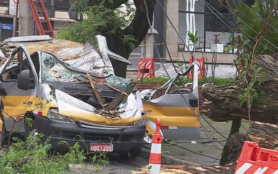Motorista gritou para retirar crianças antes de morrer, diz jovem sobre escolar atingido por árvore em BH