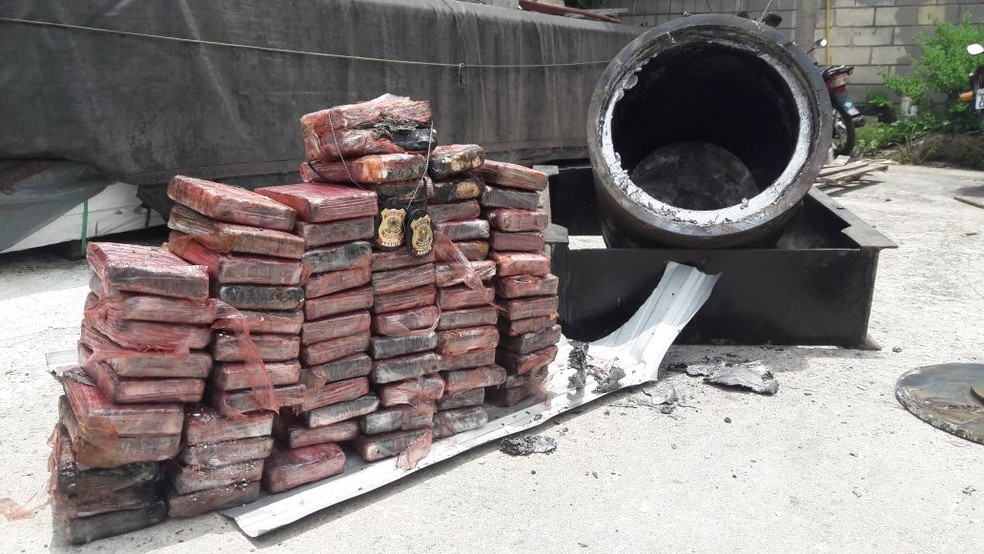 Drogas eram remetidas de Porto Velho e Ariquemes para os Estados da Bahia e São Paulo â?? Foto: PolÃcia Federal/ Divulgação