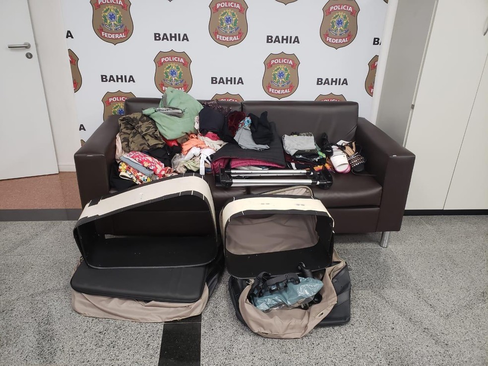 Casal Ã© preso no aeroporto de Salvador ao tentar embarcar para Espanha com cocaÃ­na  â?? Foto: DivulgaÃ§Ã£o/PolÃ­cia Federal