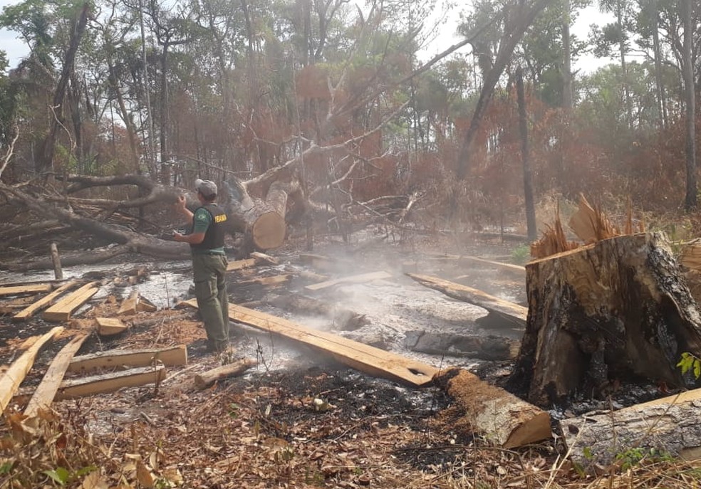 Fogo na Terra IndÃgena Arões em Mato Grosso â?? Foto: Ibama