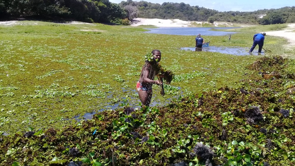 Moradores fazem mutirÃ£o de limpeza na Lagoa do AbaetÃ© â?? Foto: Cid Vaz/TV Bahia