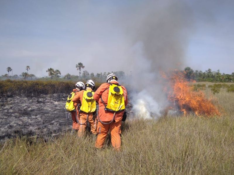 Divulgação/Corpo de Bombeiros da Bahia
