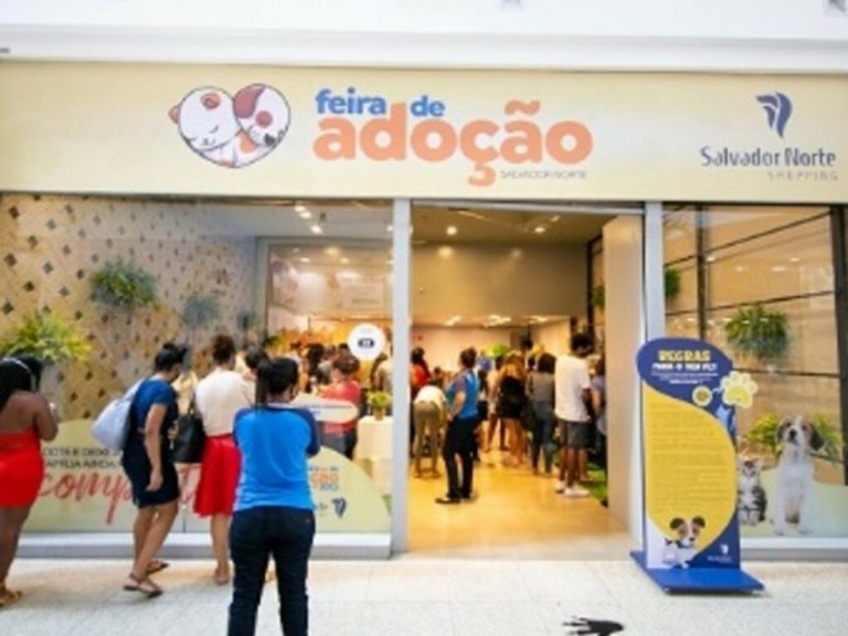 Divulgação