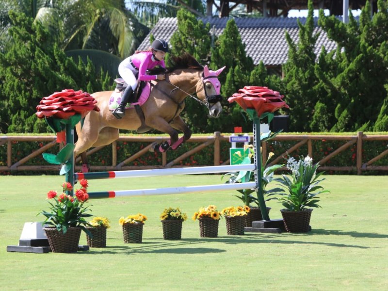 Divulgação Divulgação