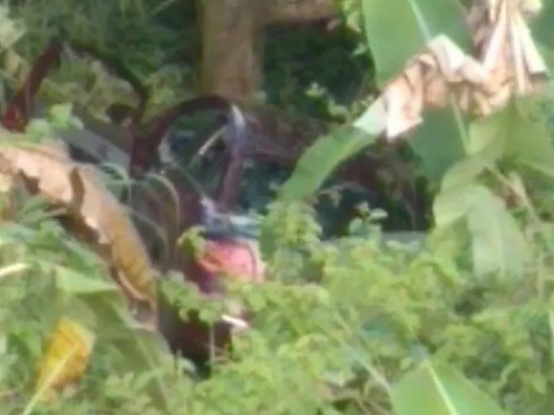 Rildo de Jesus/TV Bahia