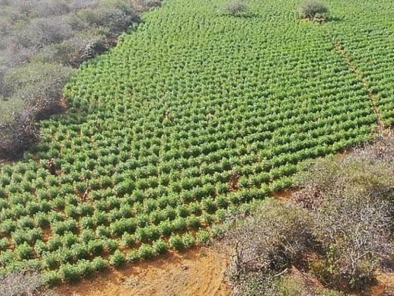 Divulgação/Polícia Militar