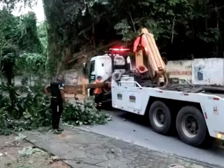 Reprodução/TV Bahia