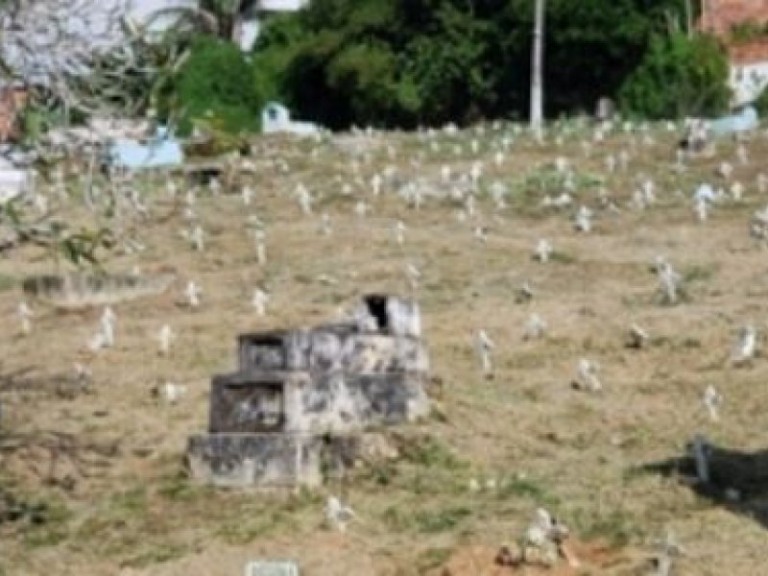 Reprodução / Suburbio News