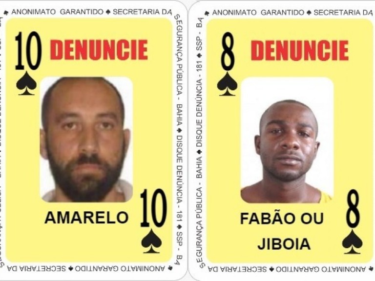 Divulgação