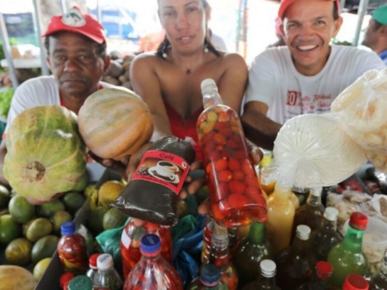Divulgação
