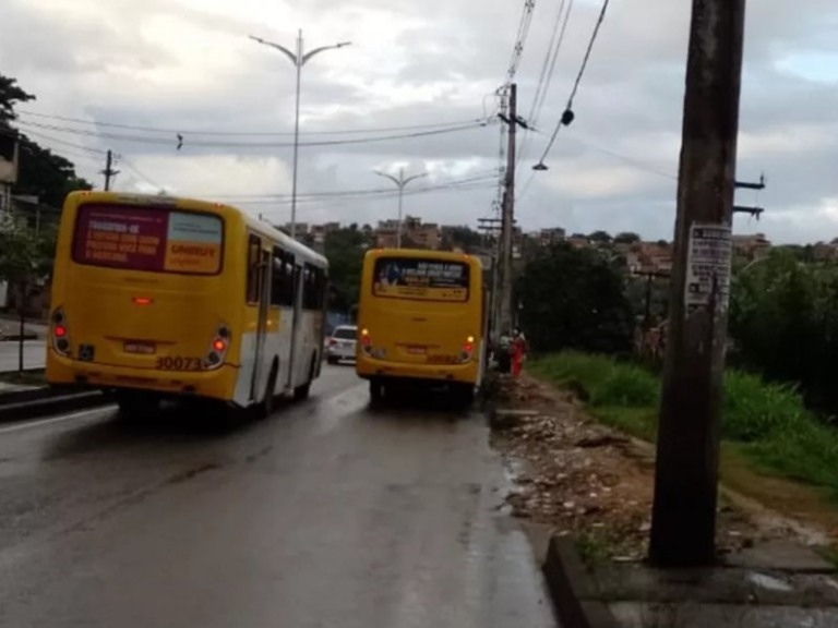 Divulgação / Transalvador