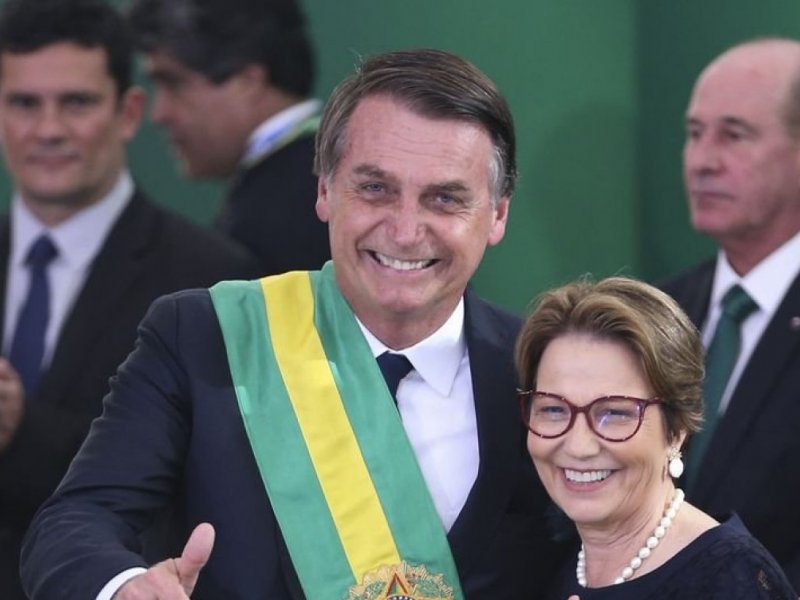 Divulgação Divulgação