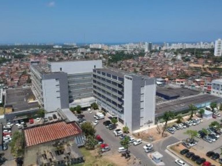 Divulgação
